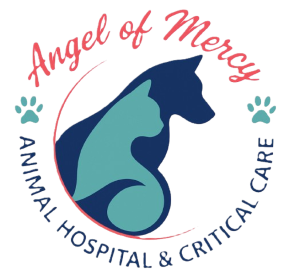 Angel of Mercy Animal Critical Care - San Antonio, TX